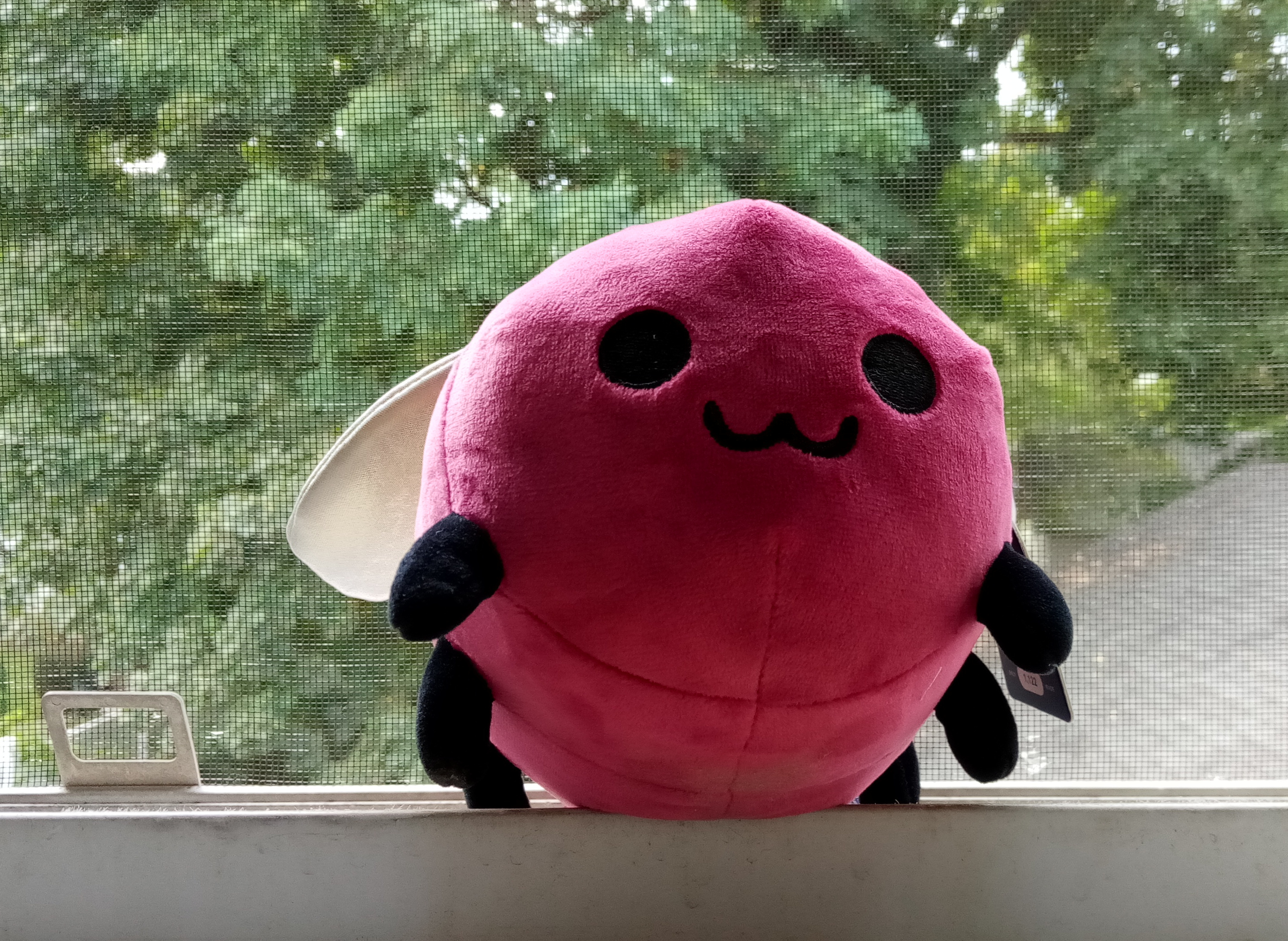 Eggbug crawling through a hole in a window screen