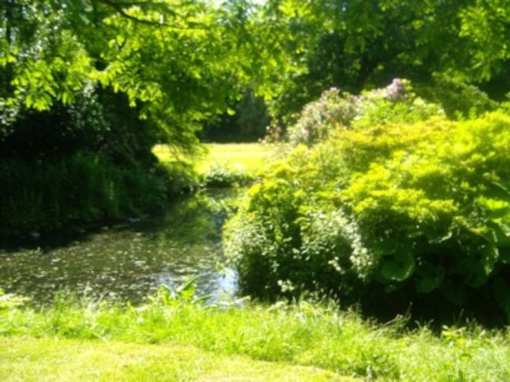 A grassy area cut by water
