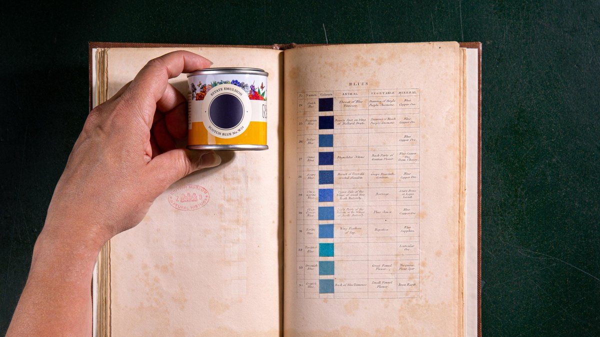 oh my god twitter doesn’t include alt text from images in their API